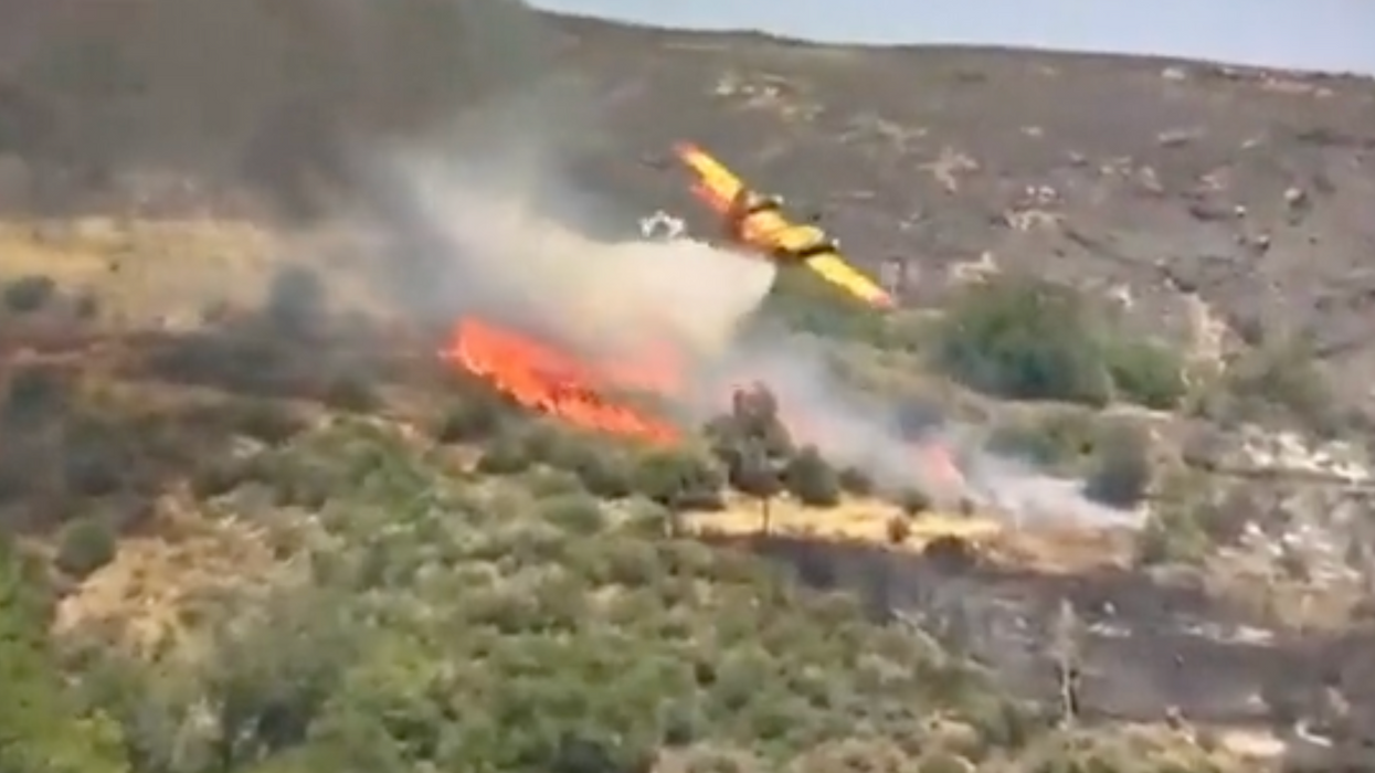 Greece plane crash: Plane fighting wildfires bursts into flames after smashing into hillside