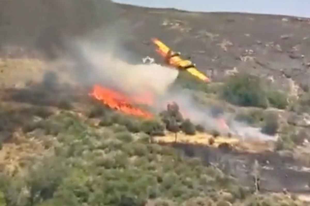Greece plane crash: Plane fighting wildfires bursts into flames after smashing into hillside