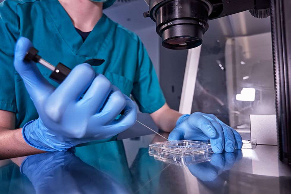 In vitro fertilization process close up