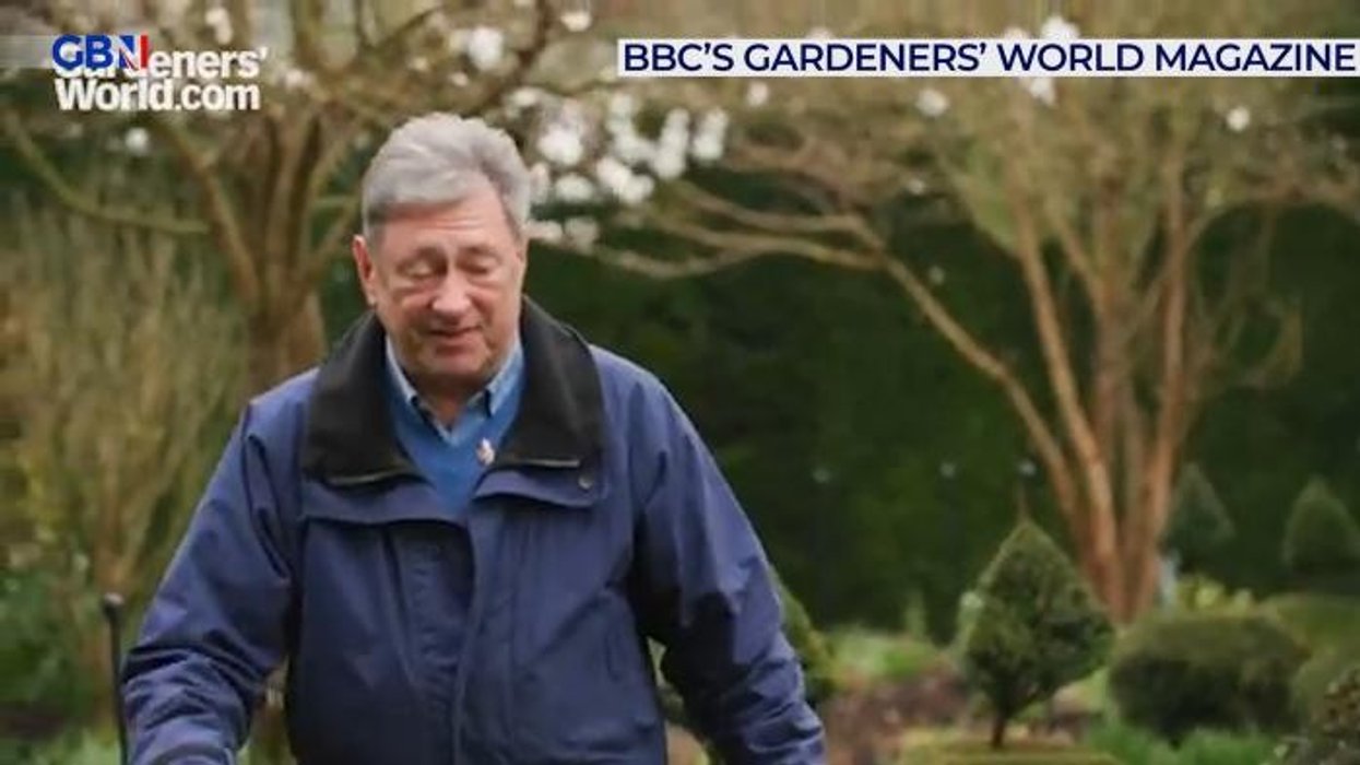 Gardening: How to get rid of the most common pests 'in no time' as numbers rise in the UK