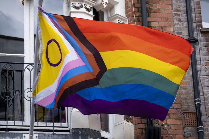 Intersex-inclusive Pride Progress flag