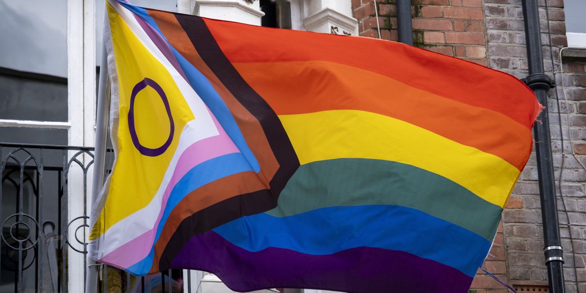 NextImg:Primary school teaches children about 300 LGBT pride flags