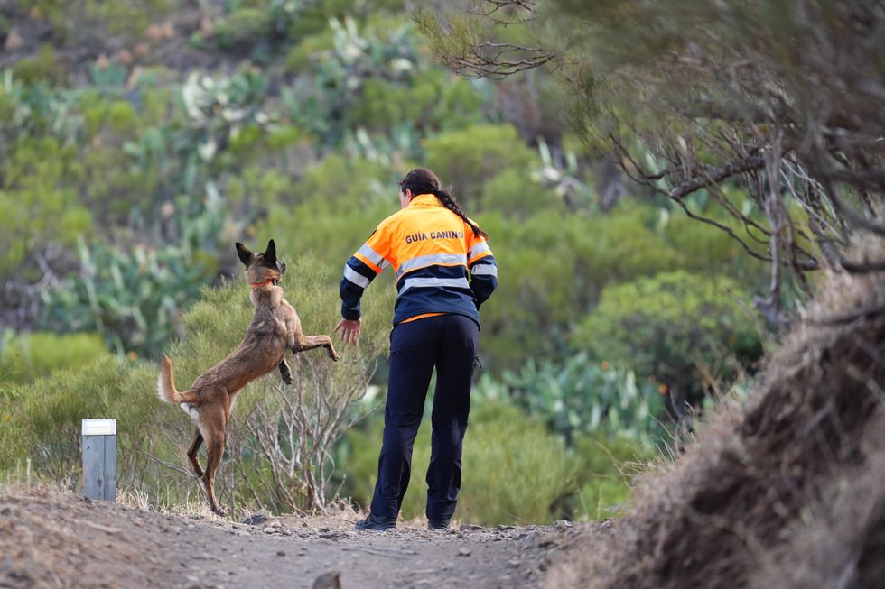 Investigators in Tenerife