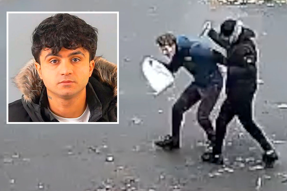 Iraqi immigrant Rebaz Mohammed stabbed Ellis Wheeler