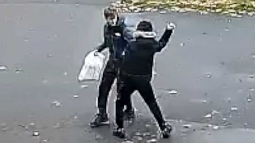 Iraqi immigrant Rebaz Mohammed stabbed Ellis Wheeler