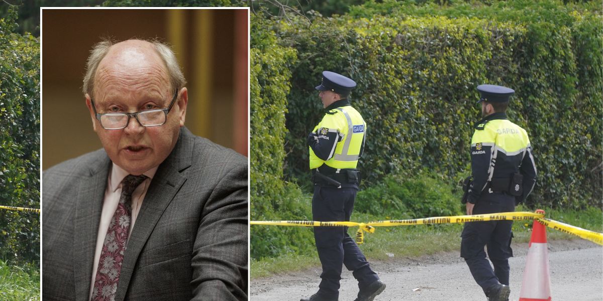 NextImg:Post-Brexit 'open border' policy to blame for migrant influx in Ireland according to Unionist leader