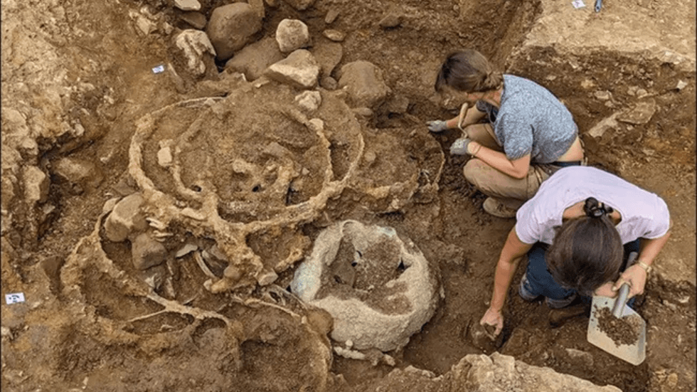Iron Age hoards discovered