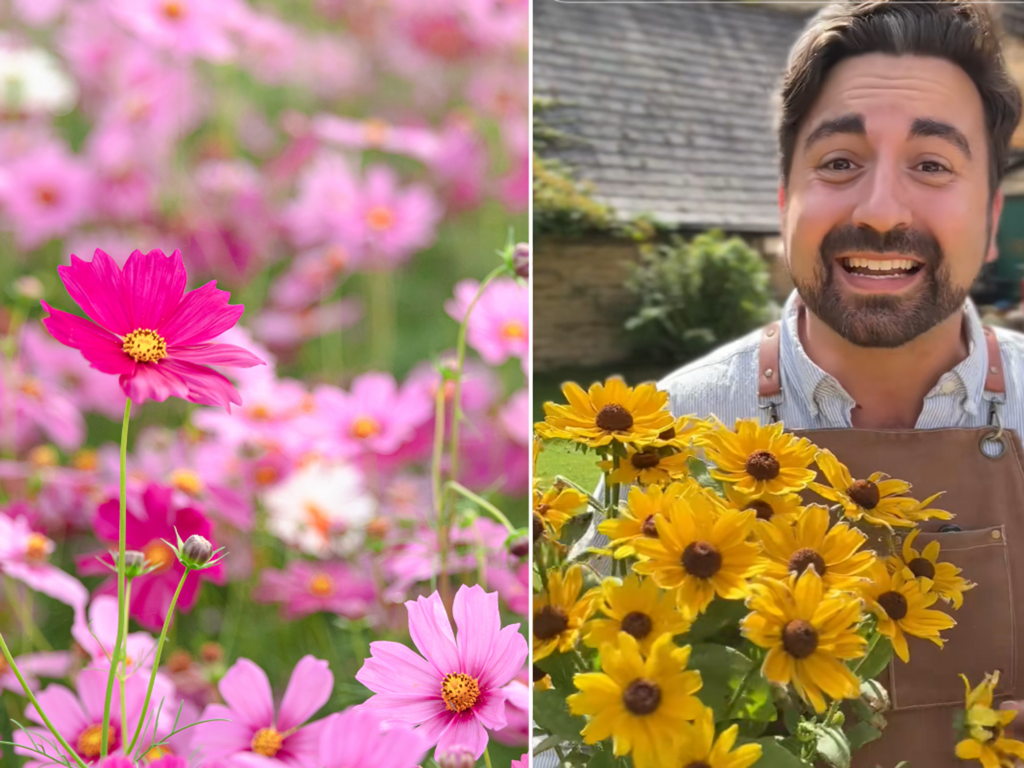 Ish talking to followers; cosmos