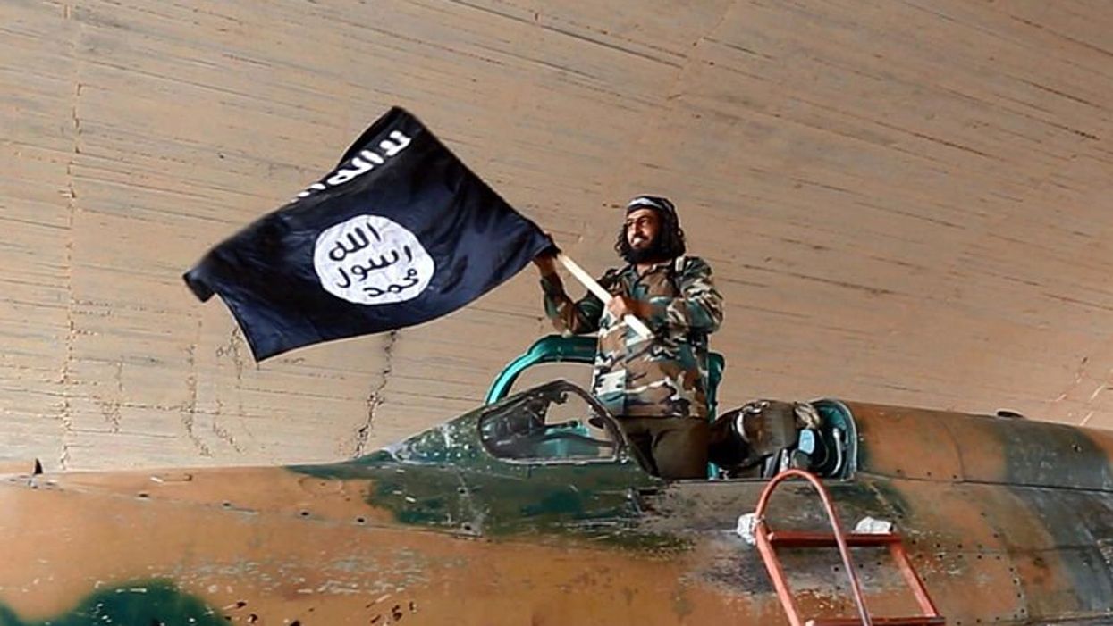 Isis fighters could be granted citizenship