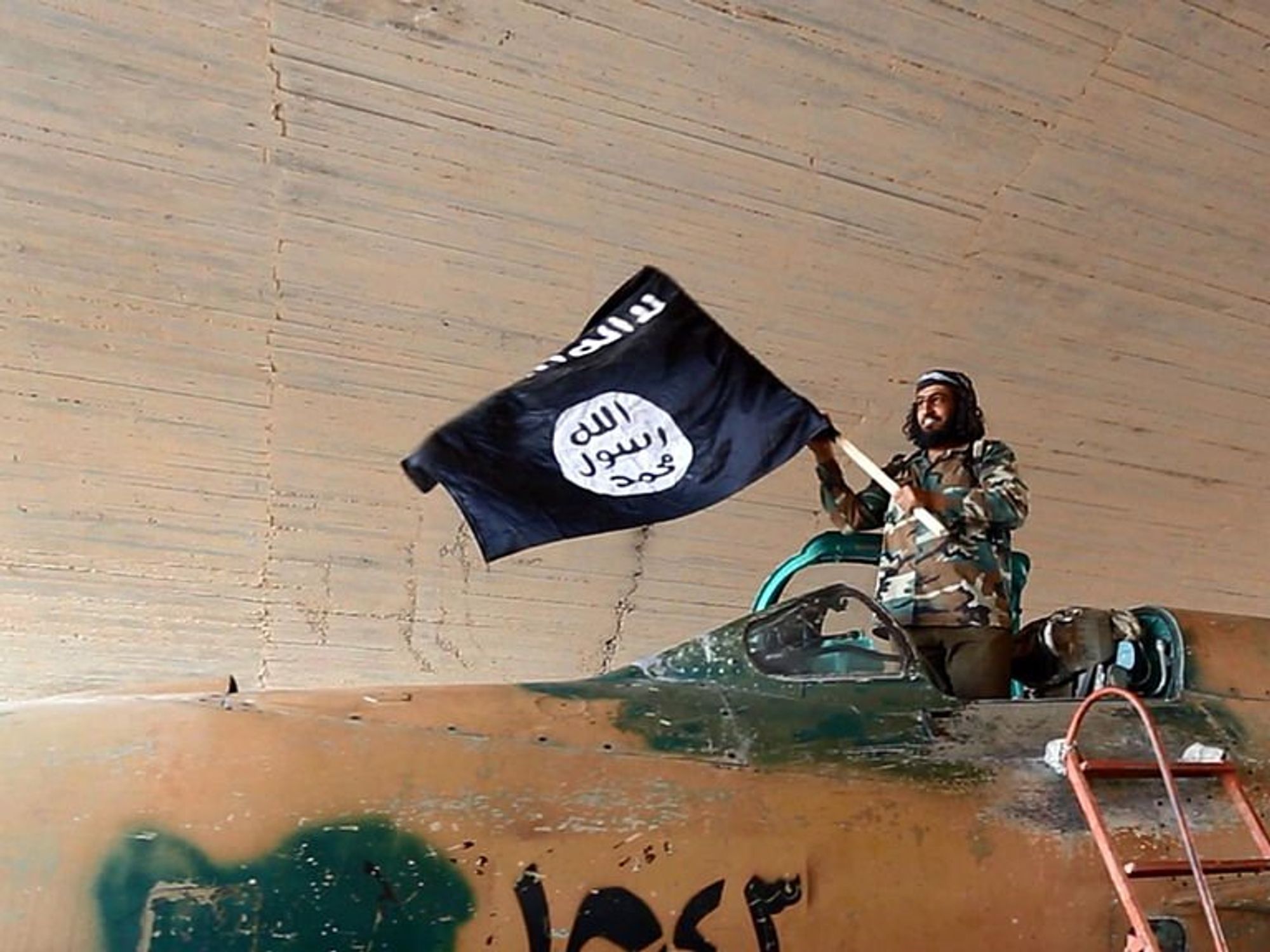Isis fighters could be granted citizenship