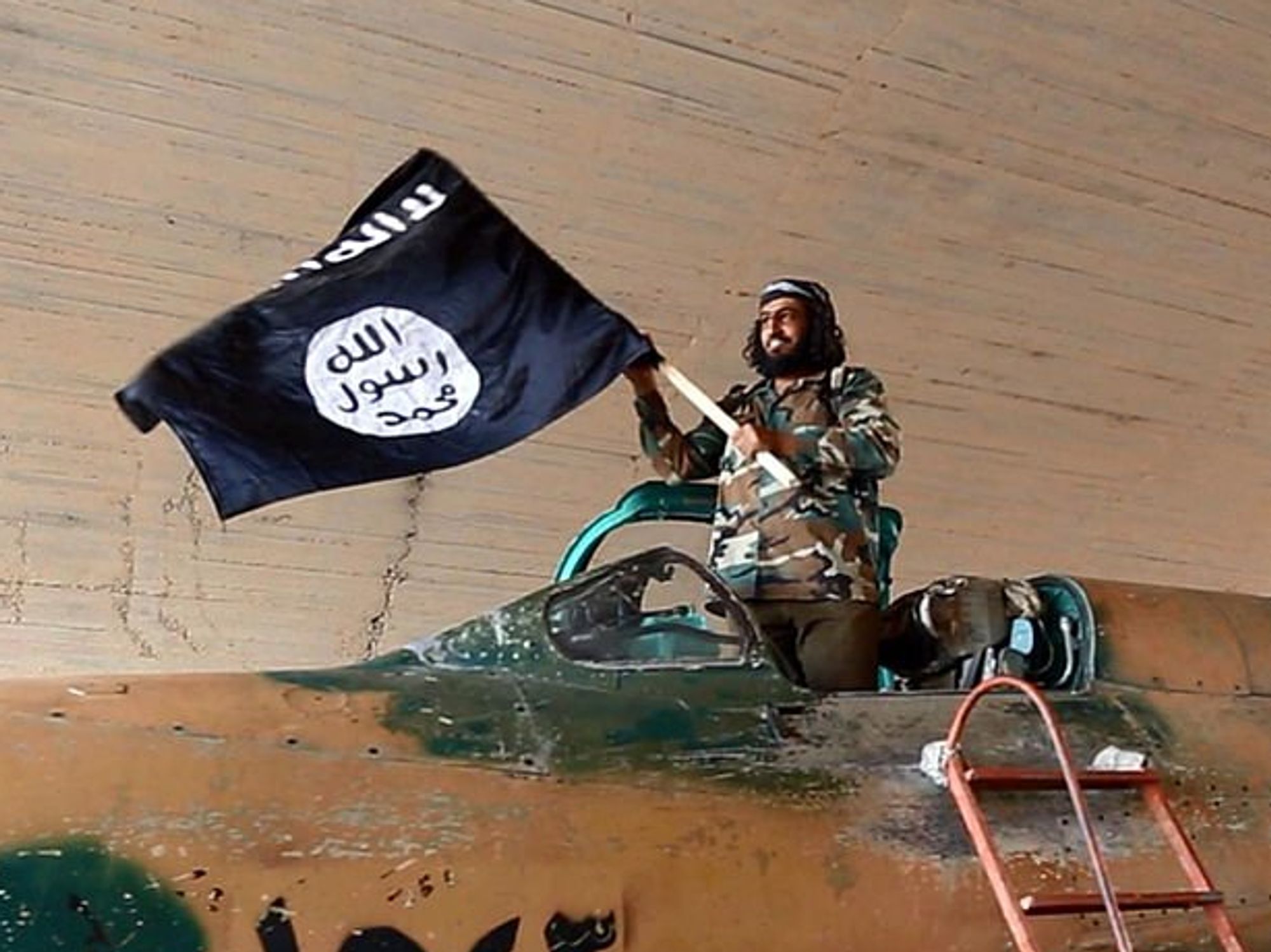 Isis fighters could be granted citizenship