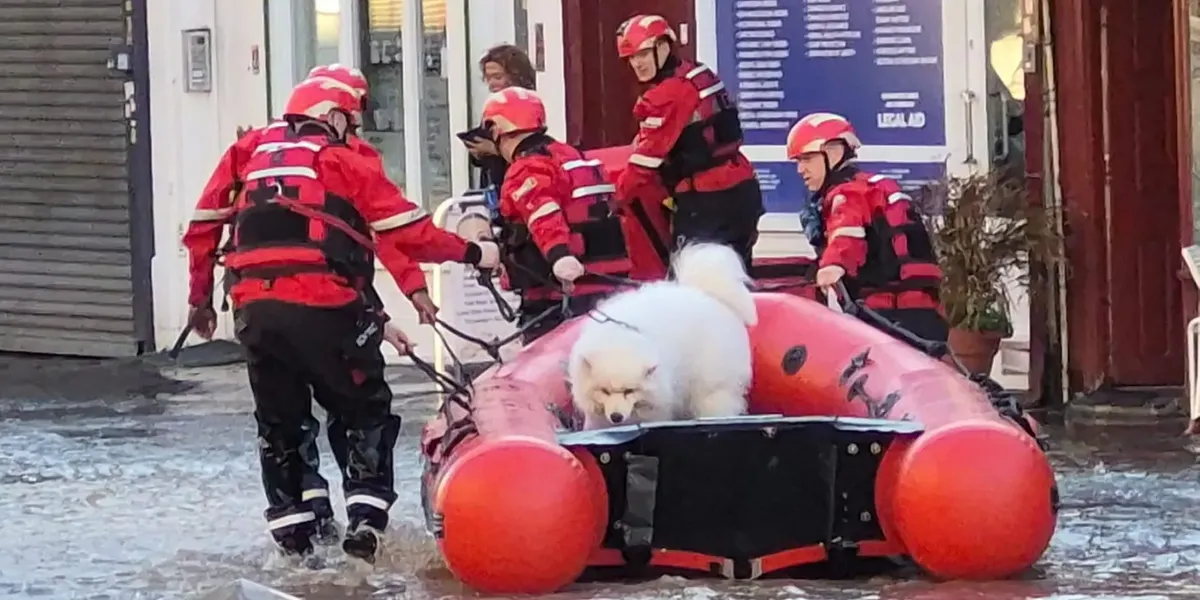 London flooding sees firefighters forced to use boats to save residents London flooding sees firefighters forced to use boats to save residents