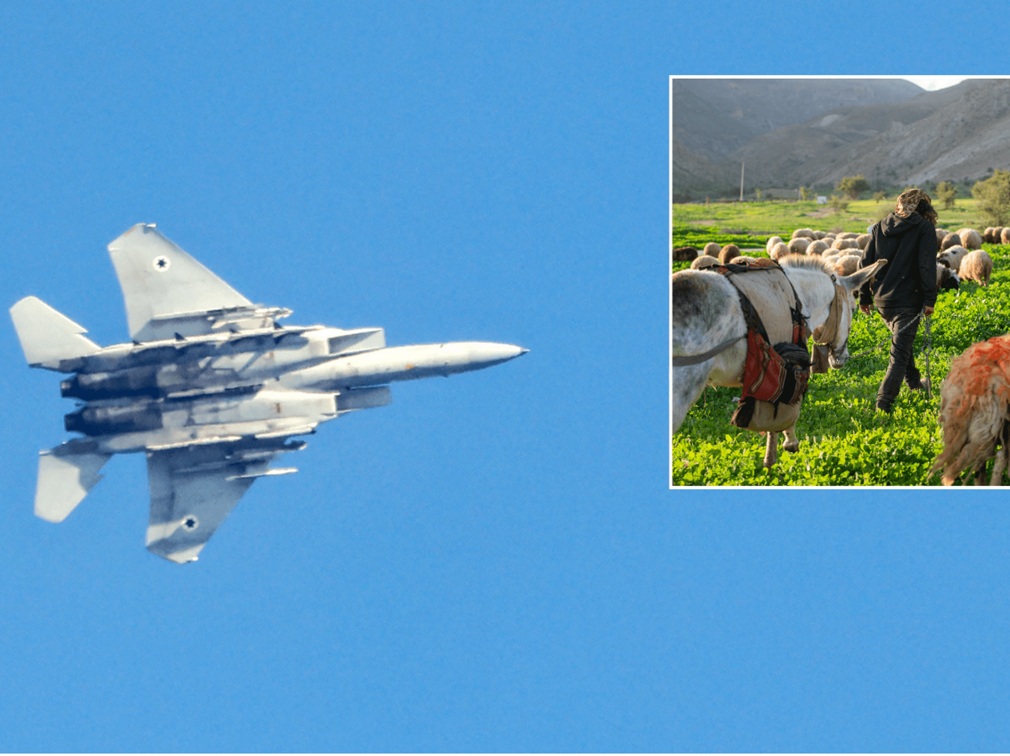 Israeli military base, shepherd