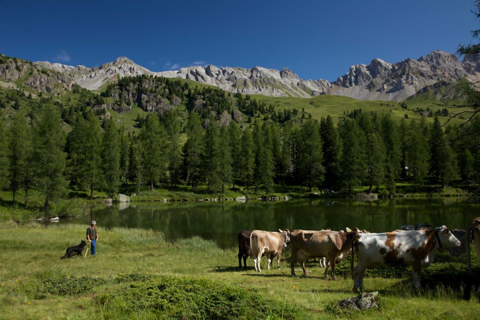Italy, the Dolomites
