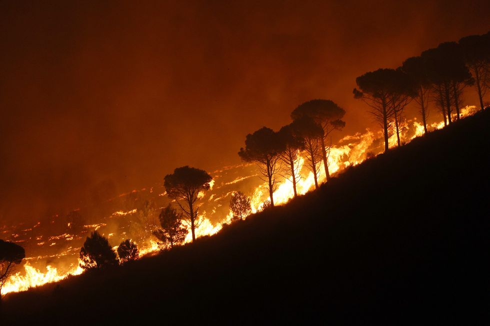 Italy wildfires