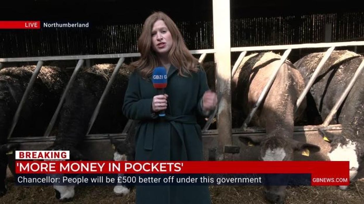 ‘It’s alright for them!’ MPs blasted as they brace for inflation-busting pay rise while farmers suffer: ‘Worst two years this century'