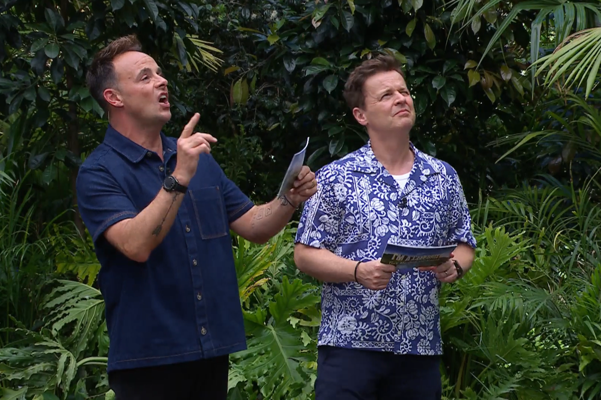 ITV I'm A Celebrity: Ant and Dec