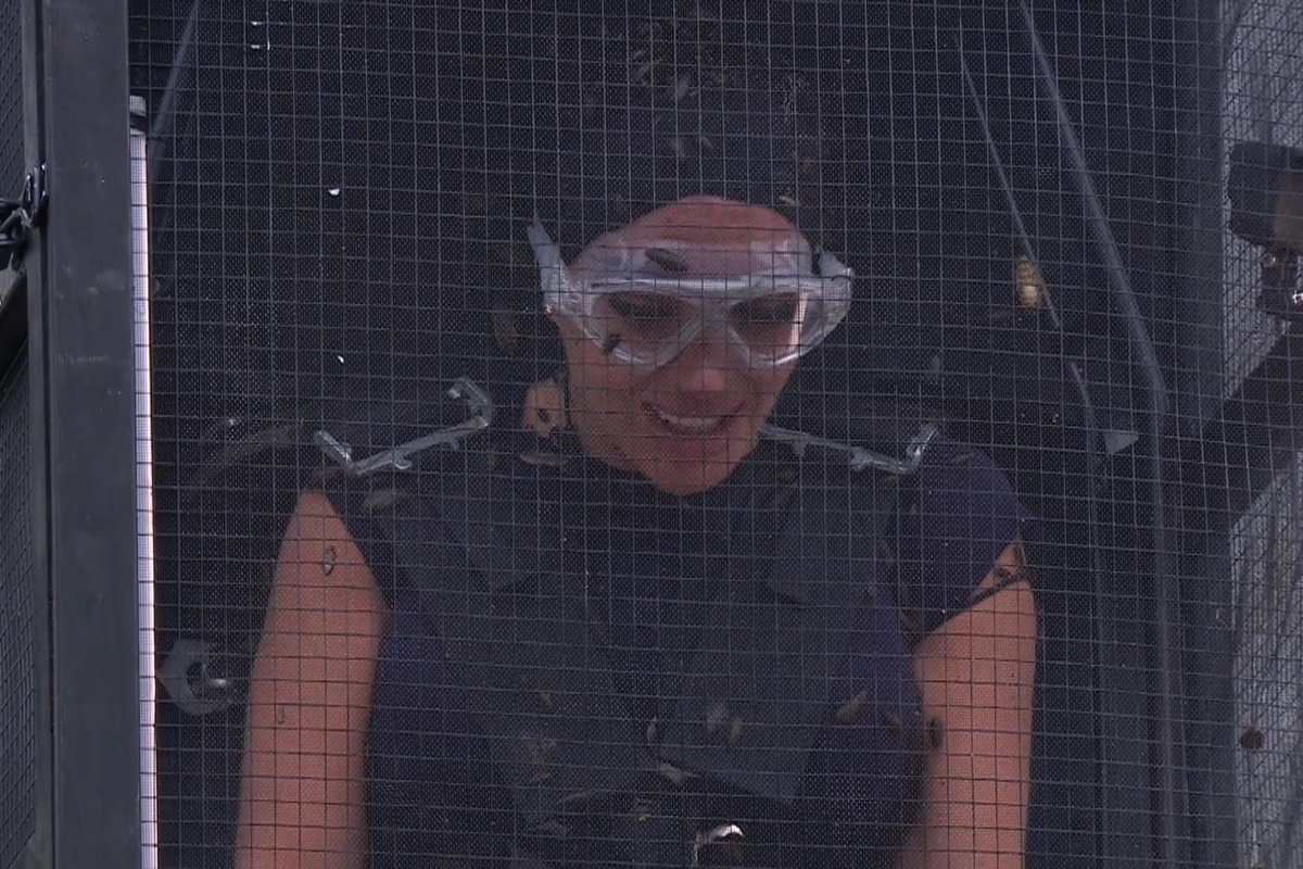 ITV I'm A Celebrity: Tulisa