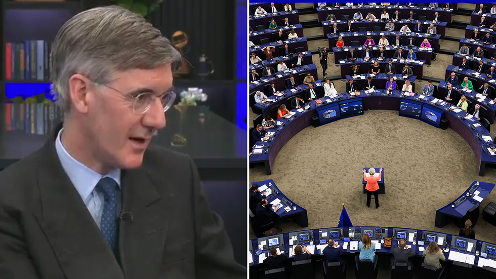 Jacob Rees-Mogg and EU Parliament