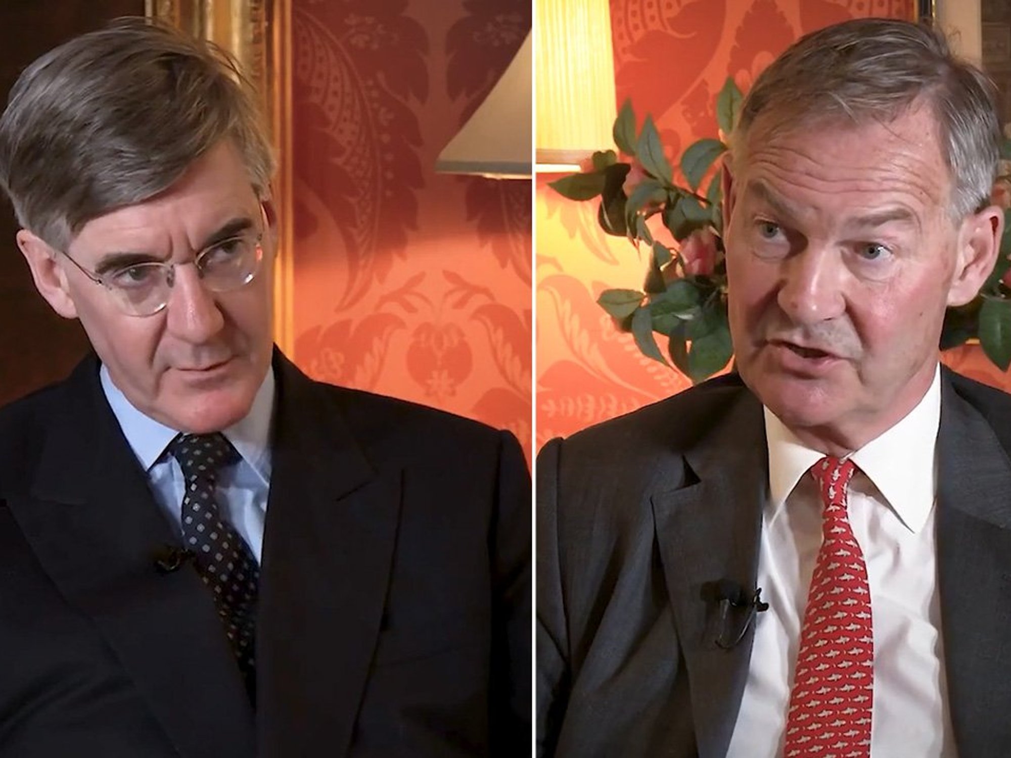 Jacob Rees-Mogg, Rupert Lowe