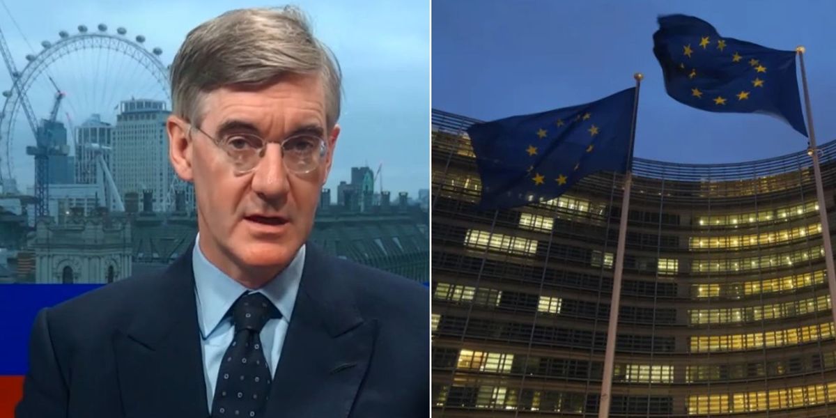 NextImg:Jacob Rees-Mogg urges UK to 'grow a backbone' and 'stand up to the EU': 'Be more Trumpian!'