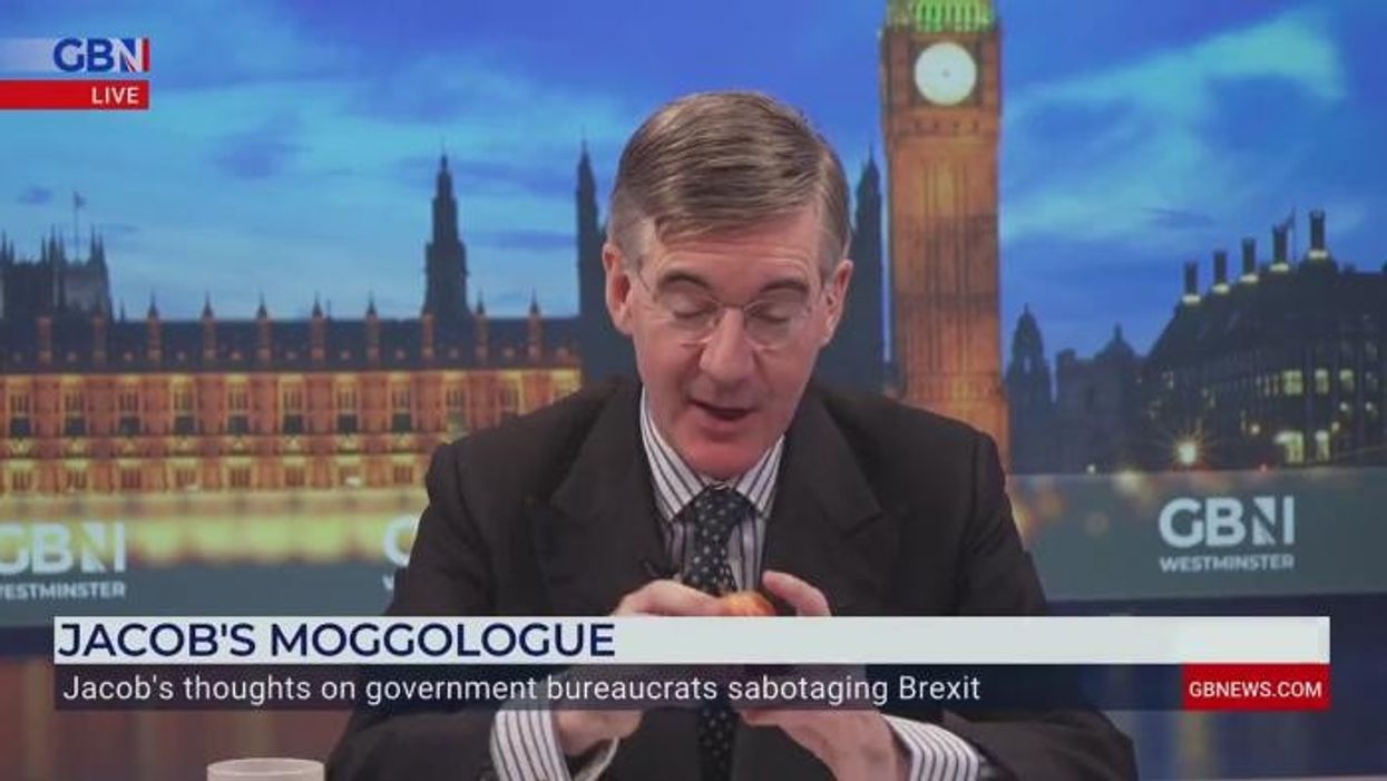 We voted to leave the EU, not become a mini EU, says Jacob Rees-Mogg