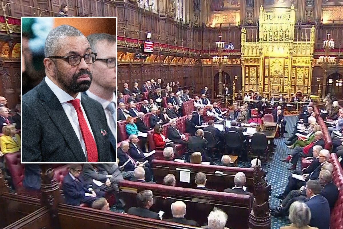 James Cleverly and House of Lords