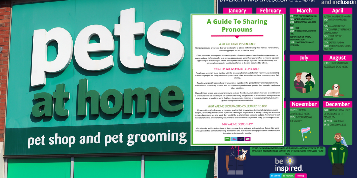NextImg:Pets at Home diversity talk speaker claimed being childless is a 'privilege' during 'woke webinar' to staff