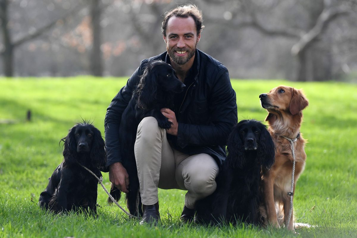 James Middleton and dogs