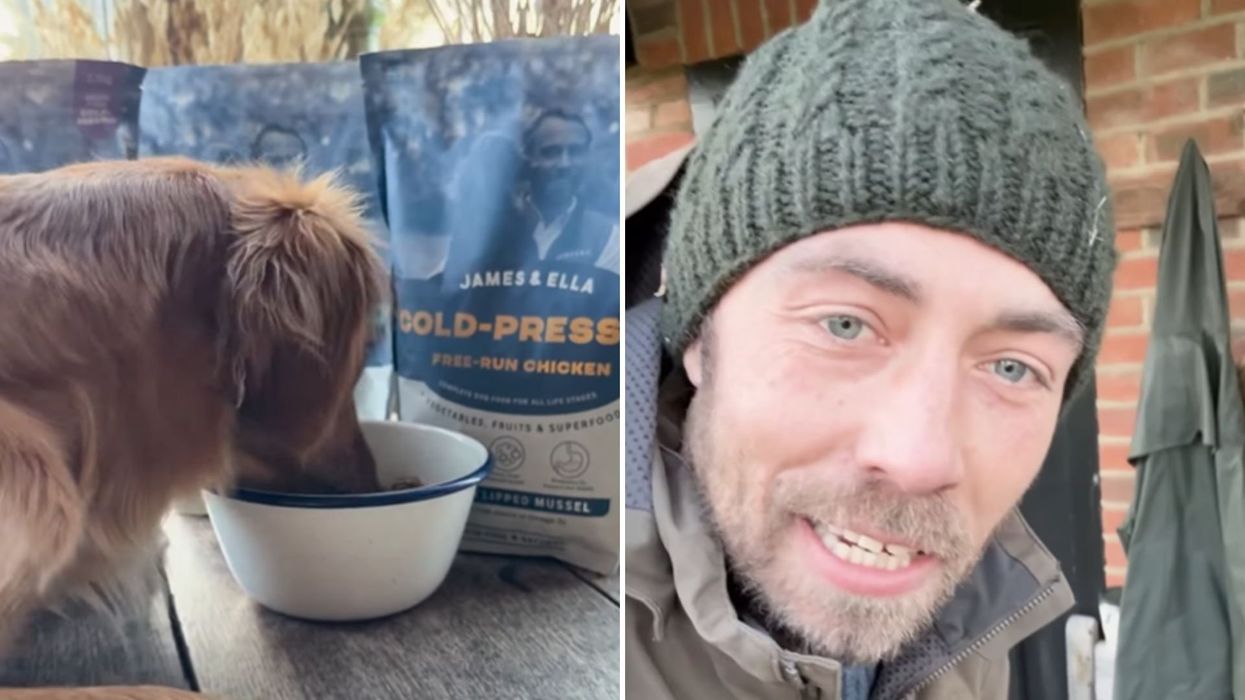 James Middleton, dog