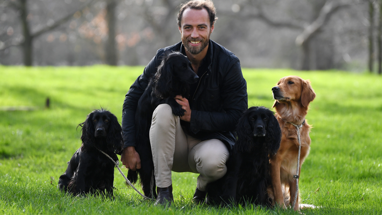 James Middleton with dogs