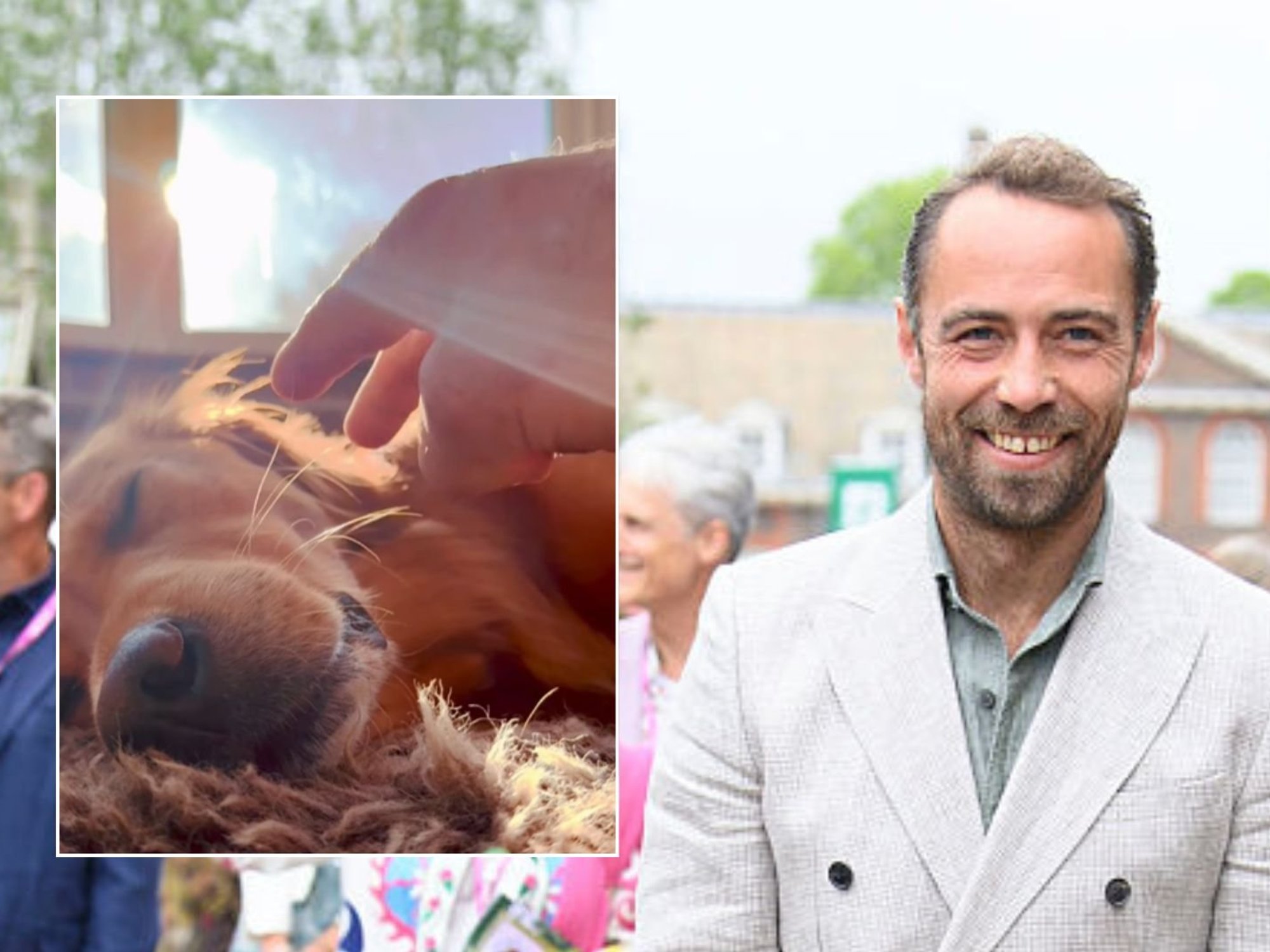 James Middleton
