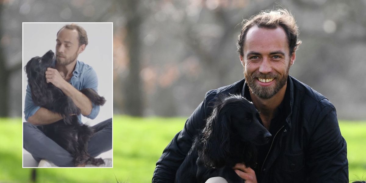 Royal fans flood support for James Middleton as Princess Catherine’s brother marks three years since beloved dog died Royal fans flood support for James Middleton as Princess Catherine’s brother marks three years since beloved dog died