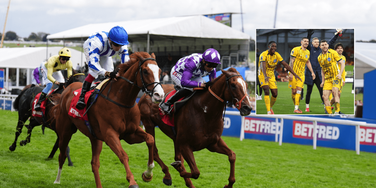 Horse owned by footballers James Milner, Lewis Dunk and Danny Welbeck wins at Diomed Stakes Horse owned by footballers James Milner, Lewis Dunk and Danny Welbeck wins at Diomed Stakes