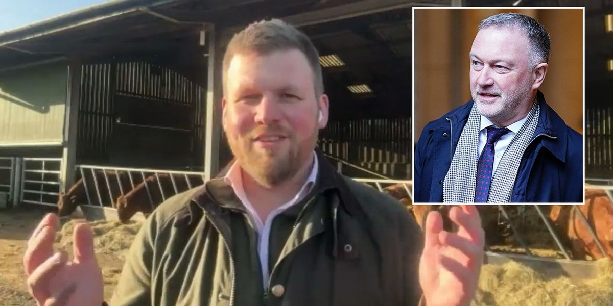 Farmer launches fresh attack on Steve Reed over Labour plans to ...