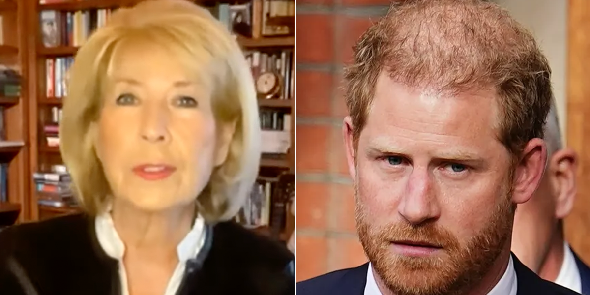 ‘Bit of a slapped face for Harry!’ Sussexes mocked after major High Court setback