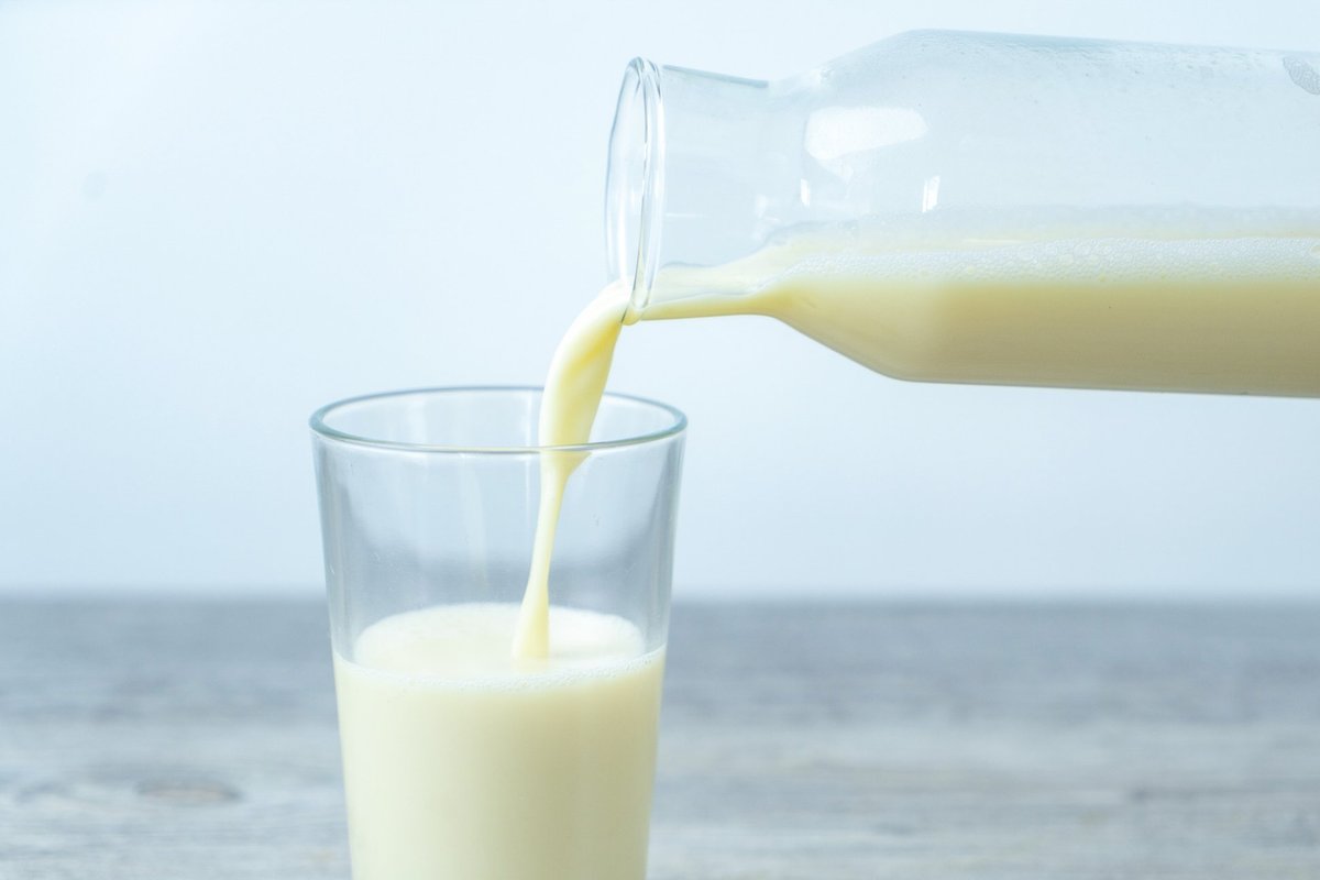 Jersey milk has seen a resurgence (file pic)