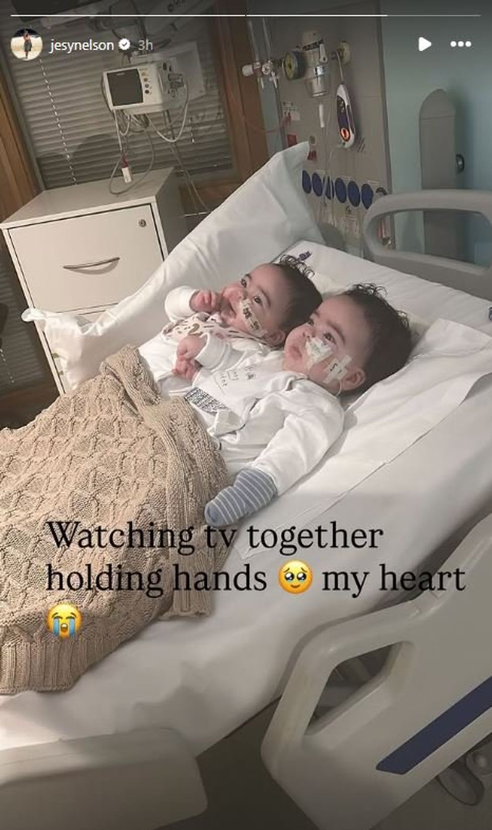 Jesy Nelson's twins