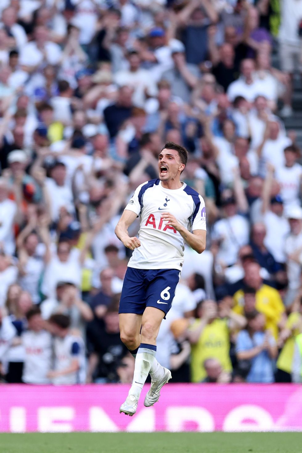 Jo\u00e3o Palhinha struck for Tottenham against Everton on Sunday
