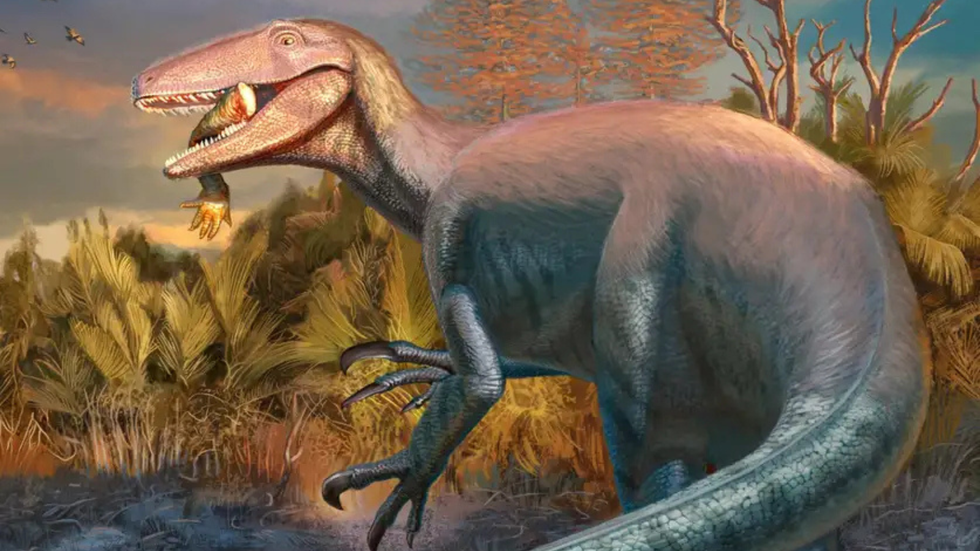 Joaquinraptor casali