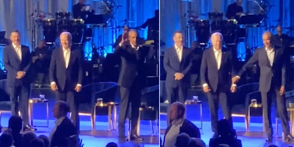 NextImg:Biden freezes AGAIN as Obama pulls him off stage at star-studded fundraiser