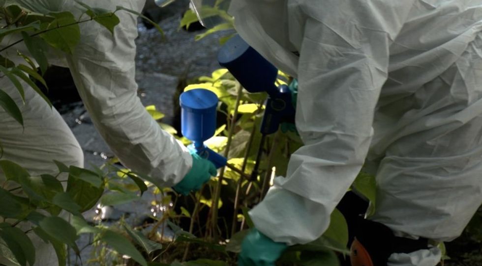 John and his team carrying out an eradication