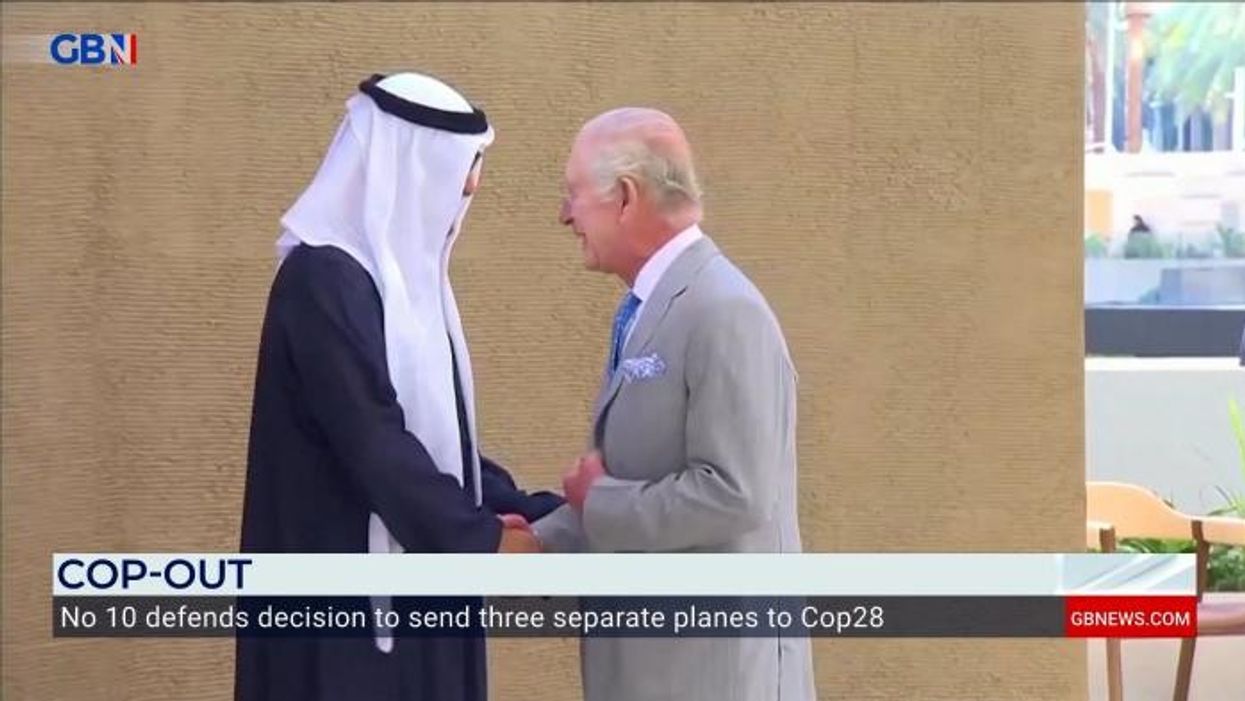 John Sergeant blasts 'petty' calls for King Charles to suppress climate fears: 'He spent his life working on this!'