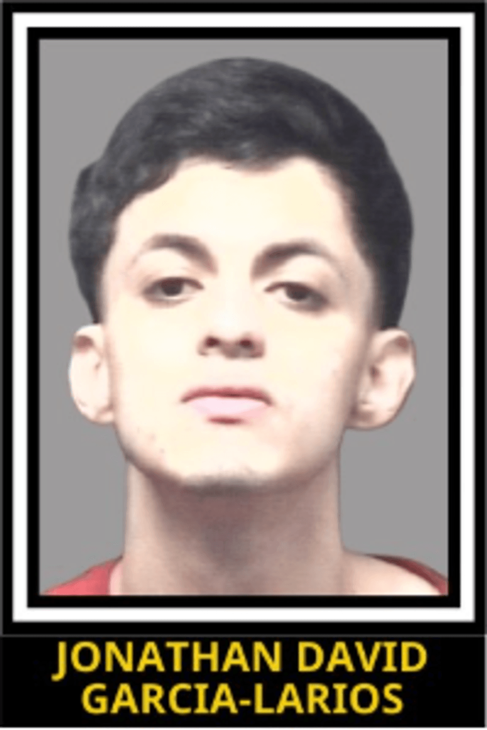 Jonathan David Garcia-Larios, illegal migrant