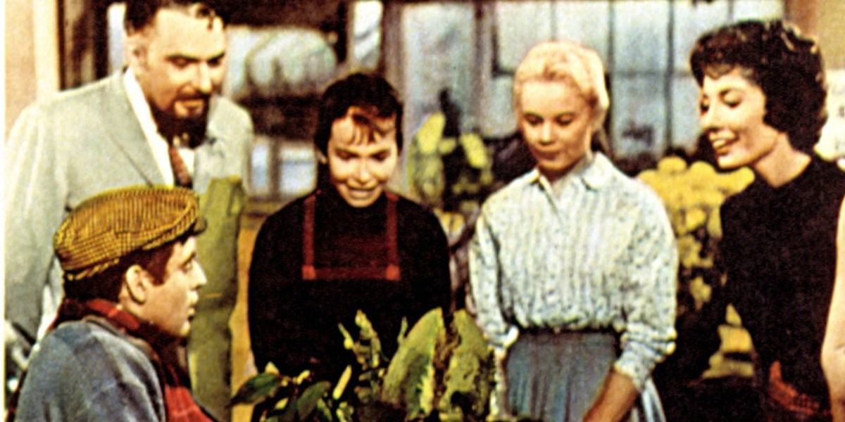 NextImg:Little Shop of Horrors star dies aged 95 as tributes flood in for actor