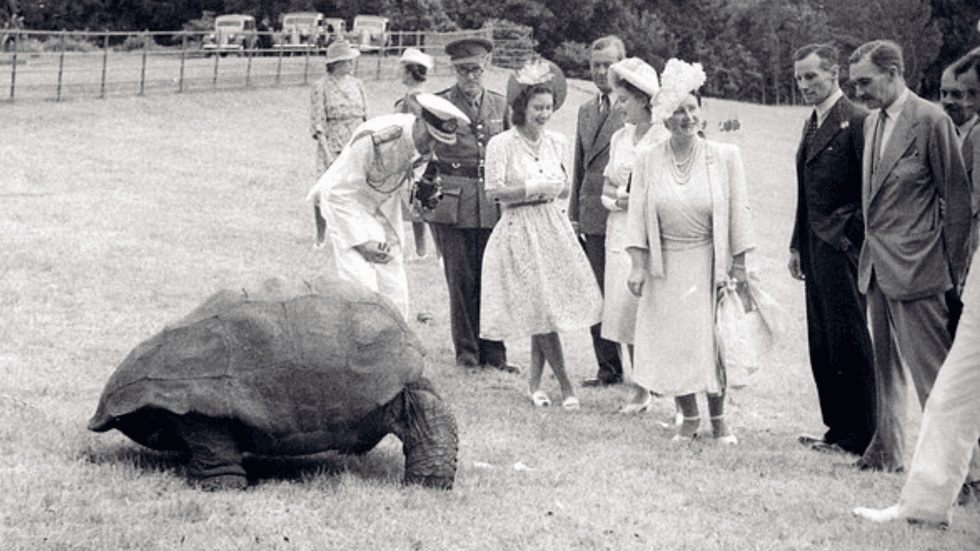 Jonathan meeting the British Royals