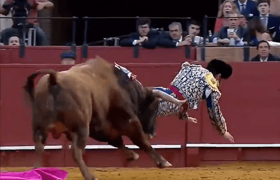 Jos\u00e9 Antonio Morante de la Puebla injury