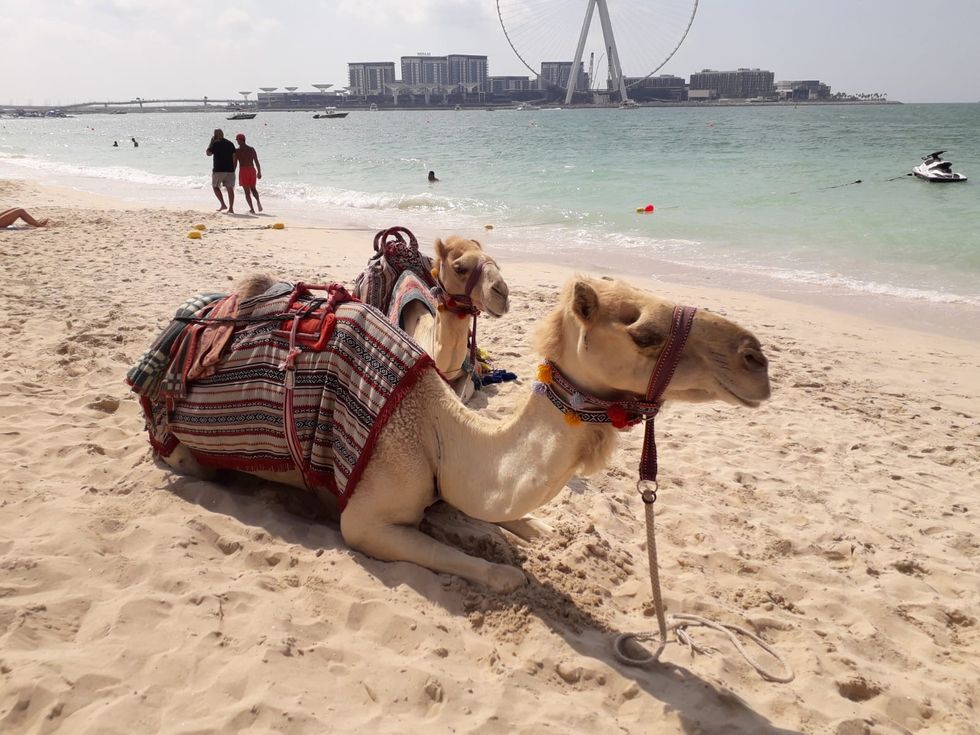 Jumeirah beach, Dubai