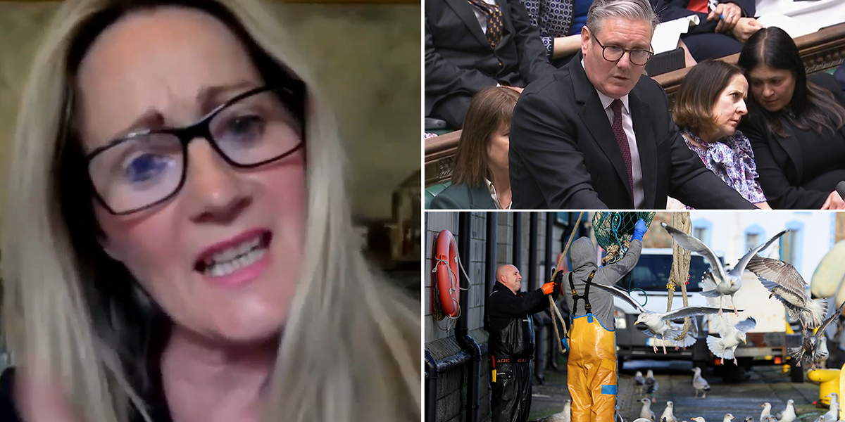 NextImg:Brexit fishing row erupts as Labour accused of ‘codswallop’ with EU reset: 'Absolutely disgusted!'