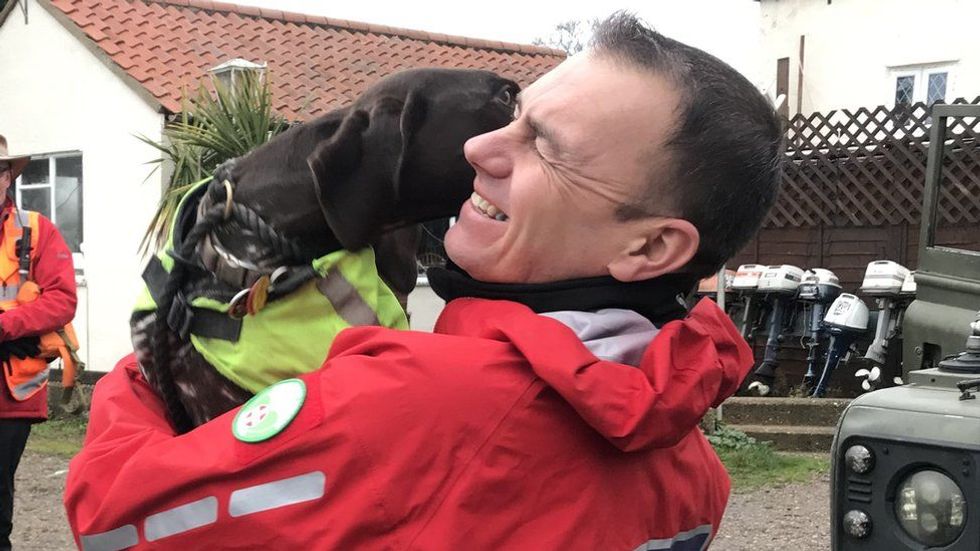 Juno has been reunited with her owner, Ian Danks
